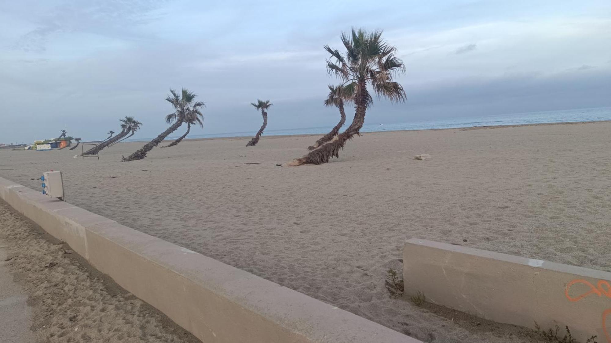הוילה לה ברקרה Les 2 Dauphins מראה חיצוני תמונה